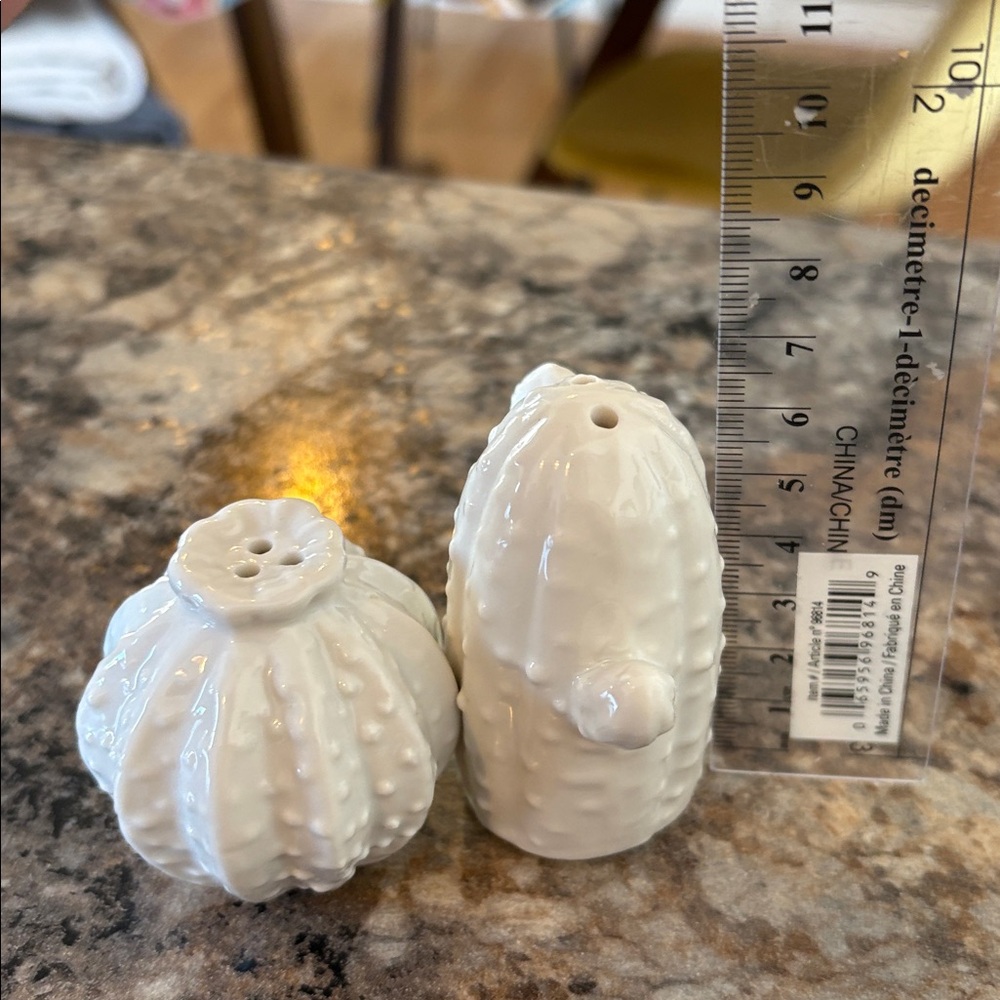 2/$10 Mini White Ceramic Cactus Salt and Pepper Shaker Set - Picture 3 of 4